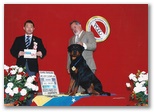 mejorgrupocib2011.jpg