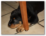 Barry2011_0227_35.jpg