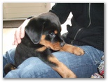 bruce2011_0213_21.jpg