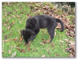 bruce2011_0213_24.jpg