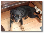 bruce2011_0213_32.jpg