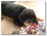 bruce2011_0213_43.jpg